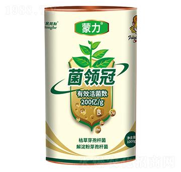 �������I��-�͝��r�I(y��)