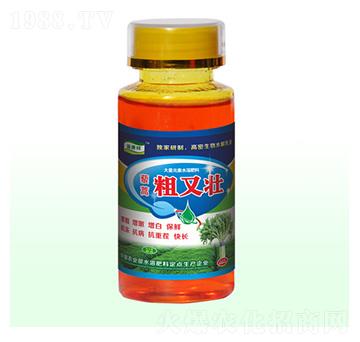 藜蒿粗又壯-富源祥肥業(yè)