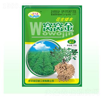 花生矮豐窩窩金-金日盛-富源祥肥業(yè)