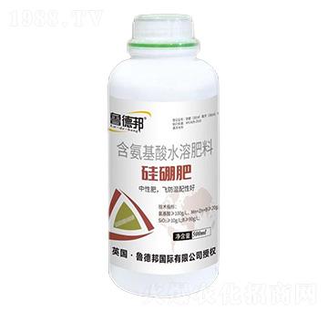 含氨基酸水溶肥料-硅硼肥-魯?shù)掳? width=