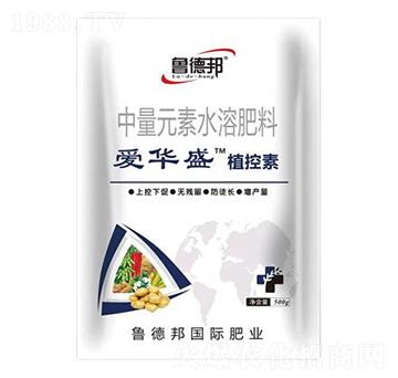 中量元素水溶肥料-愛華盛·植控素-魯?shù)掳? />
                                </div>
                            </div>
                            
                            <style type=