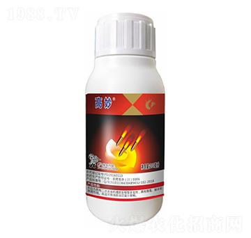 �x(ch��ng)�E�ͻ�����-����-����¡����