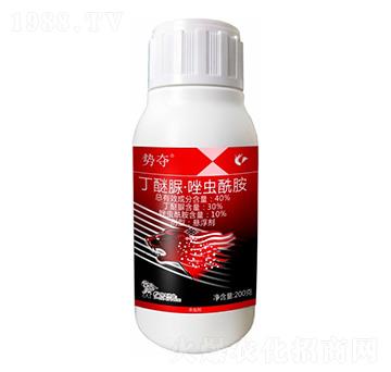 40%�����塤���x(ch��ng)����-��(sh��)�Z-����¡����