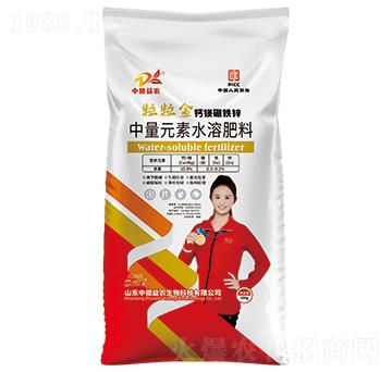 �������}�V���F�\-�ƹ�ʯ-�е����r