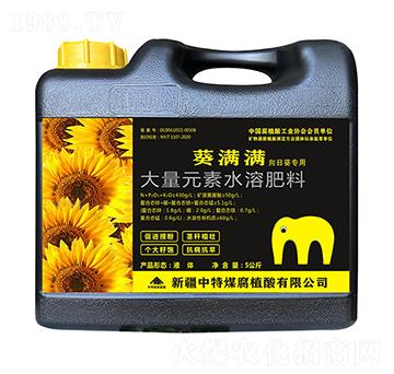 ���M(m��n)�M(m��n)����Ԫ��ˮ�ܷ���-����ú