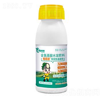 海藻氨基酸肽100ml-格萌速-地咕咕生物