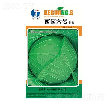 西園六號-科光種苗