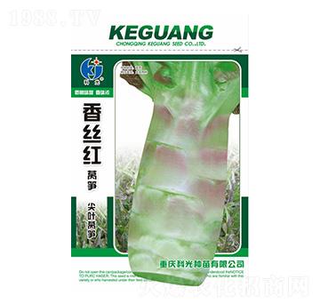 香絲紅萵筍-科光種苗