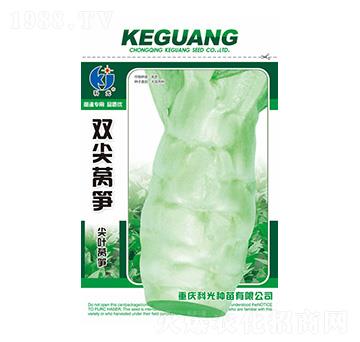 雙尖萵筍-科光種苗