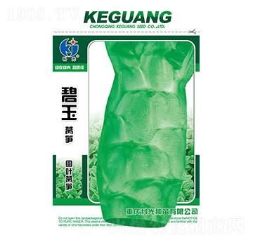 碧玉圓葉萵筍-科光種苗