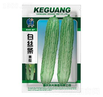 白絲條黃瓜-科光種苗
