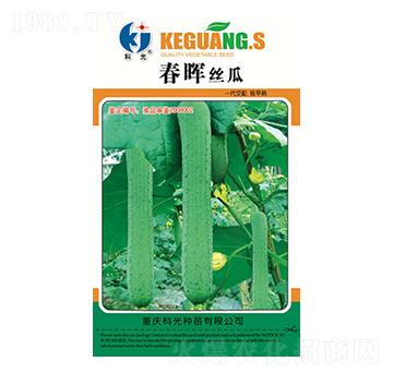 春暉絲瓜-科光種苗