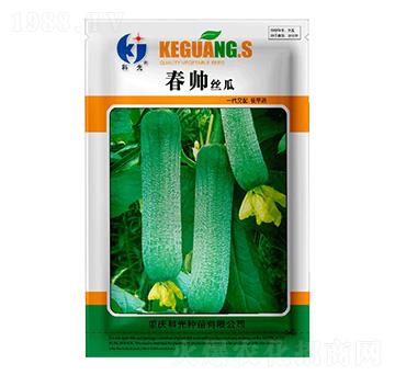 春帥絲瓜-科光種苗