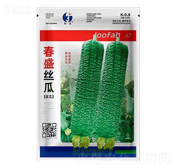 春盛絲瓜-科光種苗