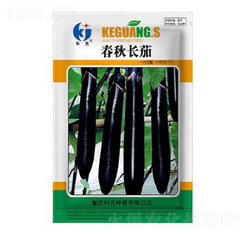春秋長茄-科光種苗