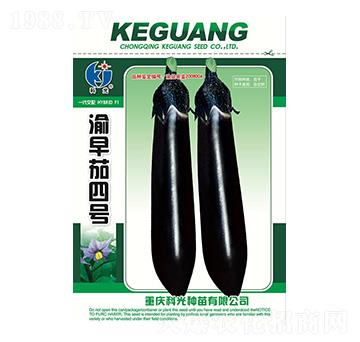 渝早茄四號-科光種苗