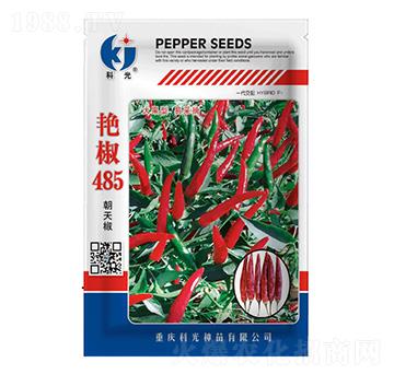 艷椒485-科光種苗