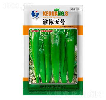 渝椒5號-科光種苗