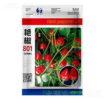 艷椒801-科光種苗