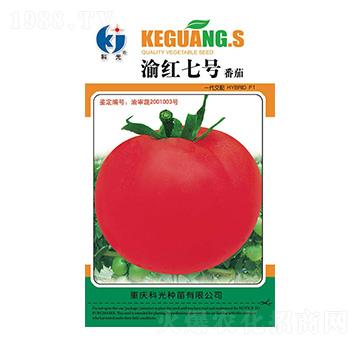 渝紅7號-科光種苗