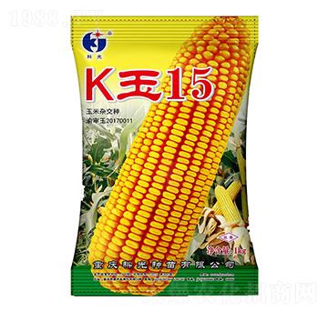K玉15-科光種苗