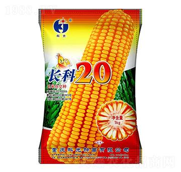 長科20-科光種苗