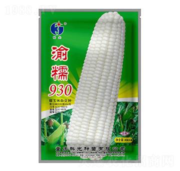 渝糯930-科光種苗