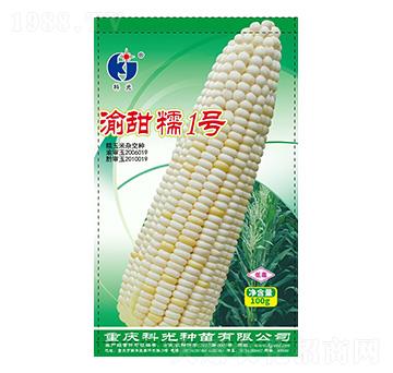 渝甜糯1號-科光種苗