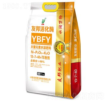 �Ѱ�ø13-7-40+TE-�Ѱ�