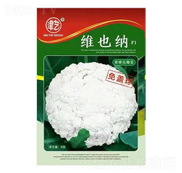 ���˷N��-�SҲ�{-���S�r(n��ng)�I(y��)