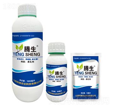 ����֬���S����E-�v��-�õ���