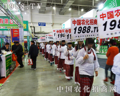 2013�|�����Ͻ��ו��ϣ��ԏ���С��ꖂ�