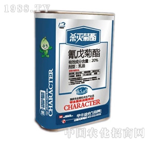 �A�S���r(n��ng)-�������