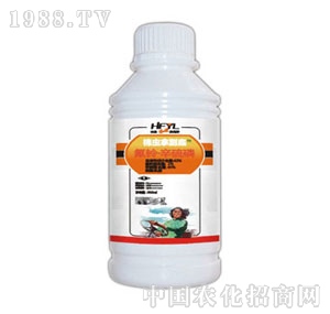 �A�S���r-���x�õ���