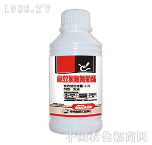 �A�S���r-�ȷ������