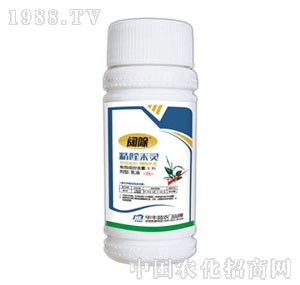 �A�S���r(n��ng)-音���୺��`