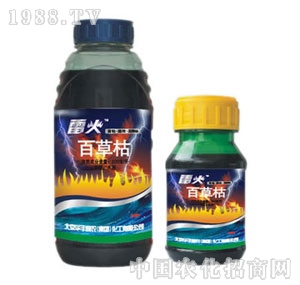 �A�S���r(n��ng)-�׻�