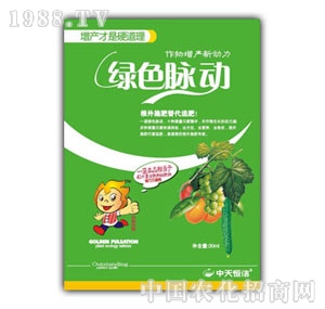 �������-�Gɫ�}��(d��ng)