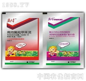 �������-��ţ