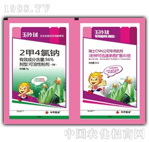 �������-���ᭇ