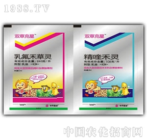 �������-�p�ݿ���