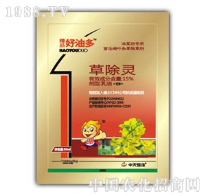 �������-���Ͷ�