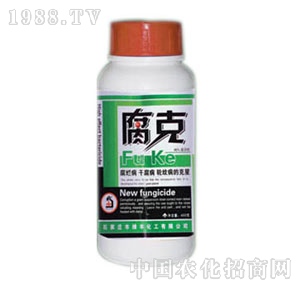 �G�S����-����