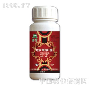 �G��-����ѿ�ߗU��