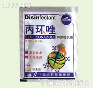 �̴T�S-20%���h(hu��n)��