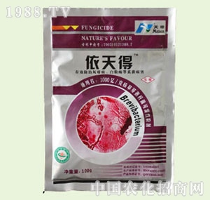 �̴T�S-�����