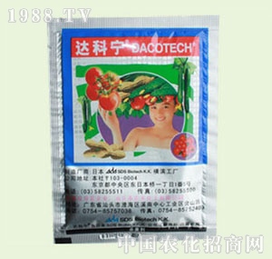 �̴T�S-�_�ƌ�