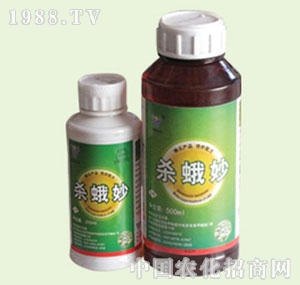 �̴T�S-������