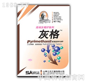 ɽ�|��Ԫ-�Ҹ�