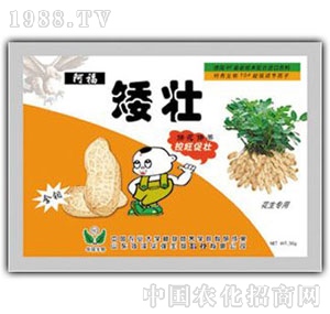 ���A��(qi��ng)-��������